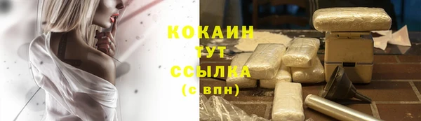 MESCALINE Аркадак