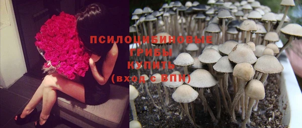 ECSTASY Арсеньев